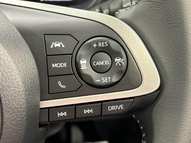 1150063A30260821W00808.jpg