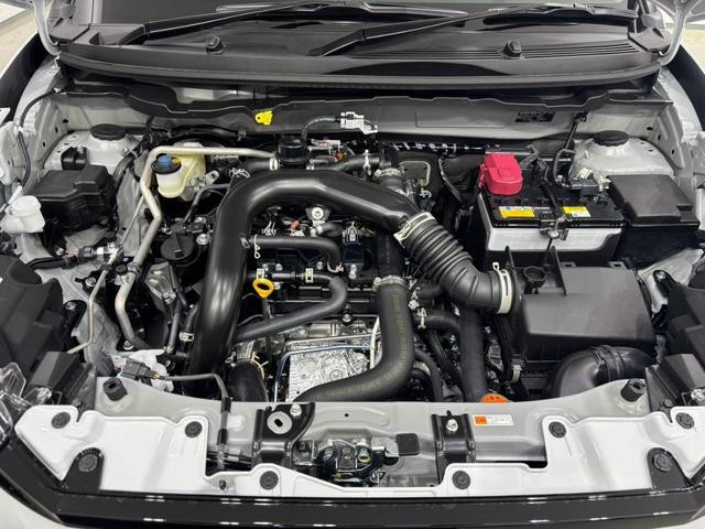 1150063A30260821W00819.jpg