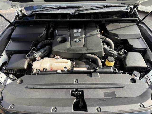 9200201A30260828W00119.jpg