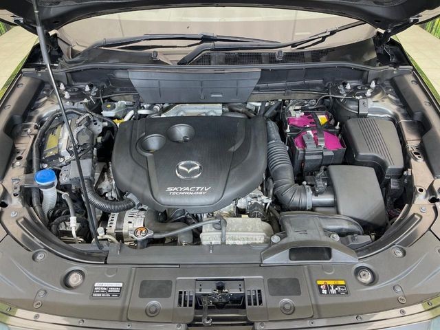9f1c17e562112a21e44db289f83aa518.jpg