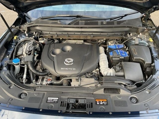 413014cb829b4f83da4d67d513679aa0.jpg