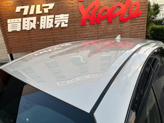 0204543A30260611W00113.jpg