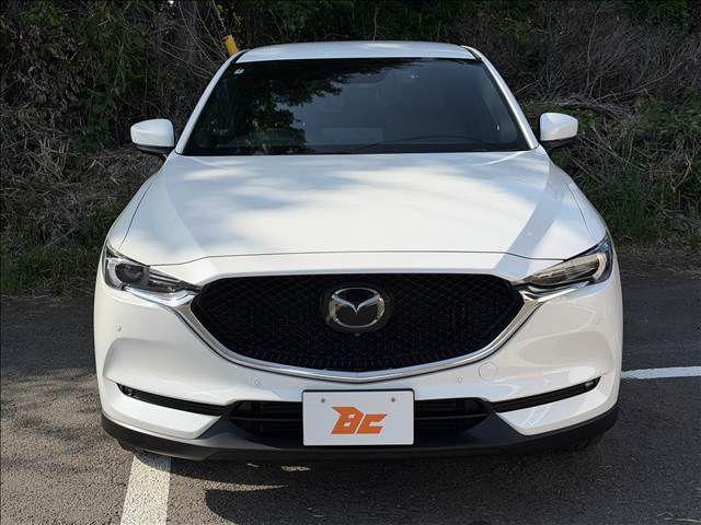bbf7c661cc0e211fd33b94e6a2651e53.jpg