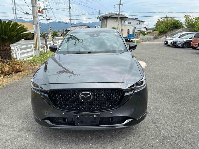 a79e14db95cb2cdaab50e9f9259e6162.jpg
