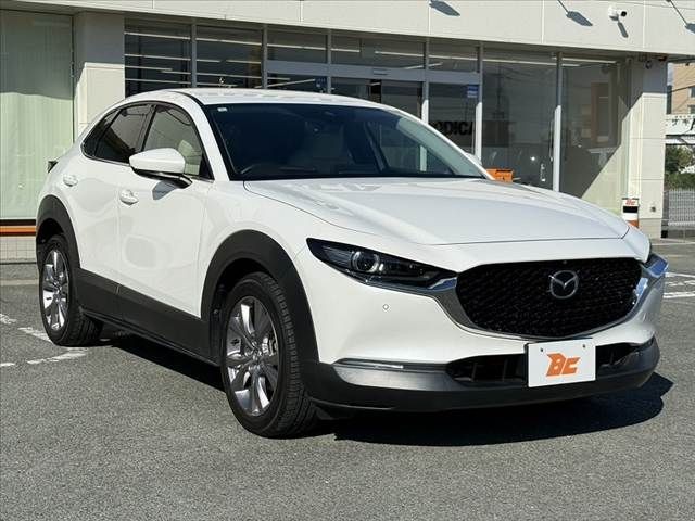 8507fd3cb7ba6e540fa2fd5c03fb9bc2.jpg