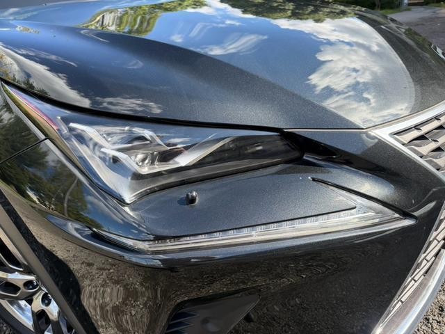 27012108_carP_l_15.jpg