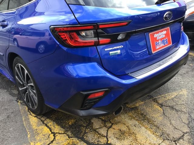 1002016A30260126W00417.jpg