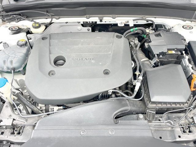 fe8a34882af46981bf087b2e0e229c41.jpg