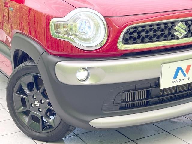 27116523_carP_l_6.jpg
