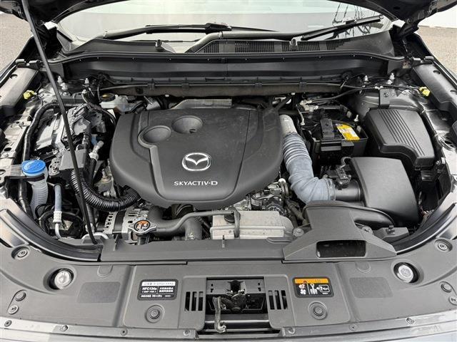 8560744fc5407e828ed2189678cfdc27.jpg
