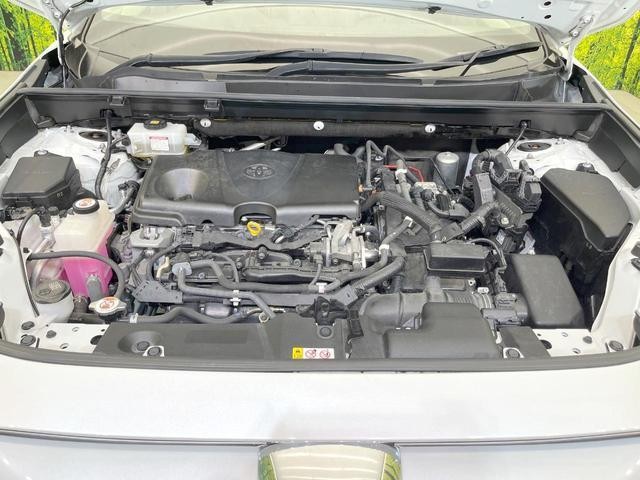 27161597_carP_l_16.jpg