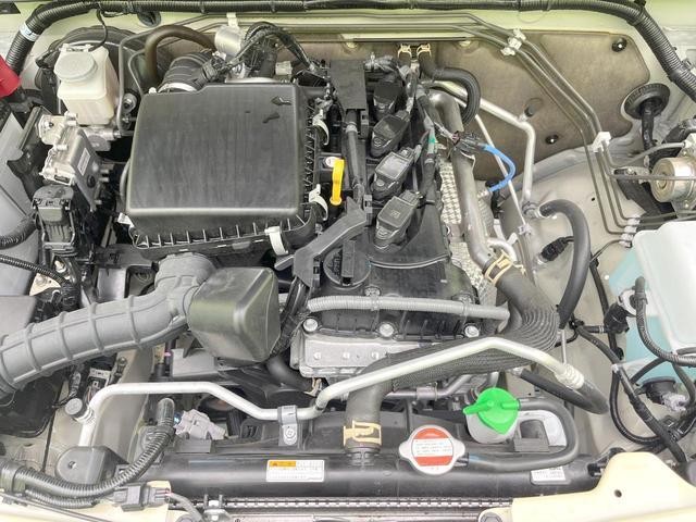 27161598_carP_l_16.jpg