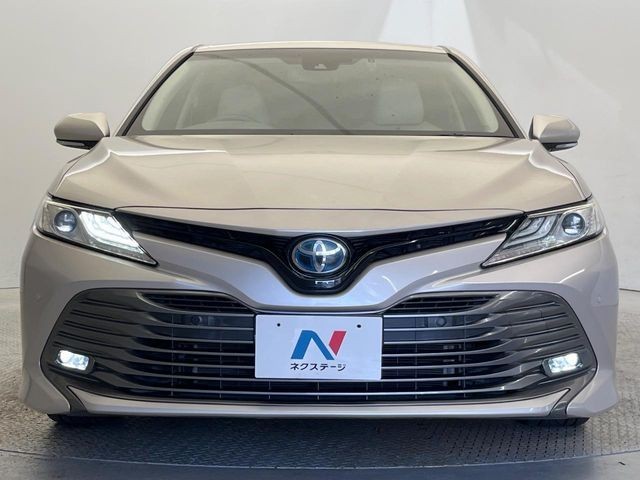 15b7184fef90cc9816fb2a1a50f0e1d3.jpg