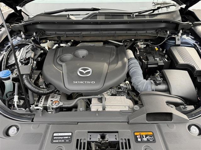 b6b37313d12e39154c4282b8d51baf62.jpg