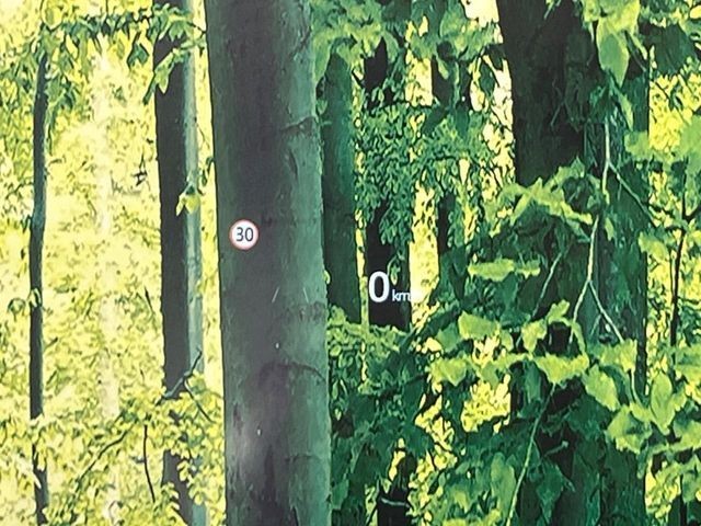 56bb026b47a2b03559562fccb89e8da6.jpg