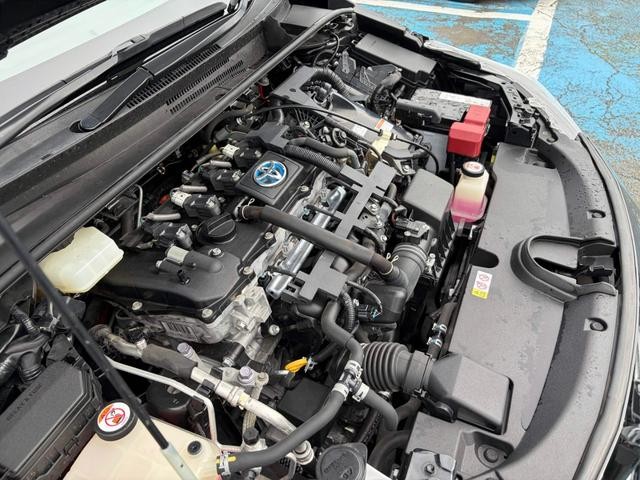 0561213A30260726W00114.jpg