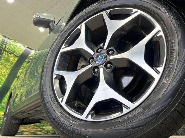 8530ced59cc5db17c713d89da2b4ec3c.jpg