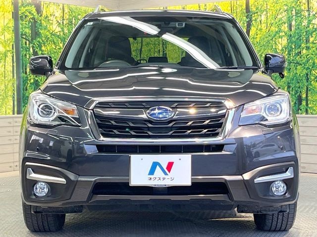 b5c743faabe5932a16b97e4af729146a.jpg