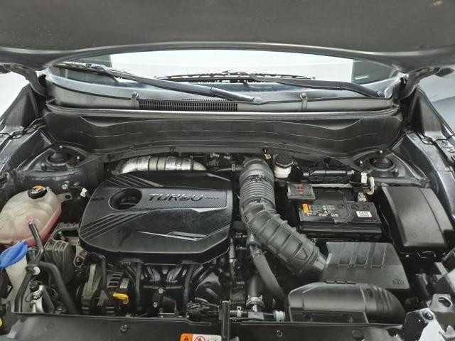 5071001013R5.jpg