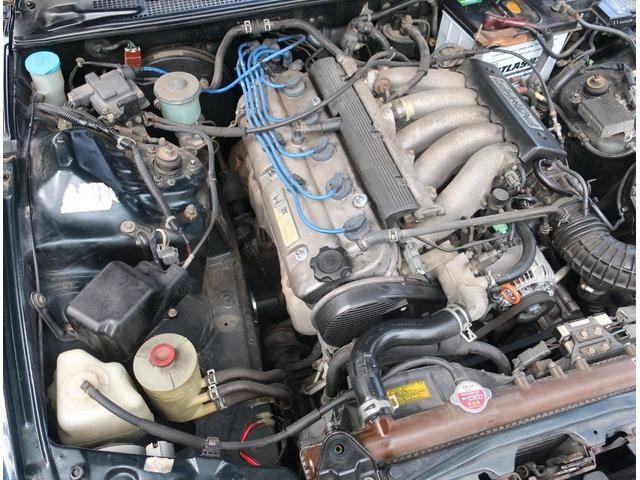 0570655A30260926W00118.jpg