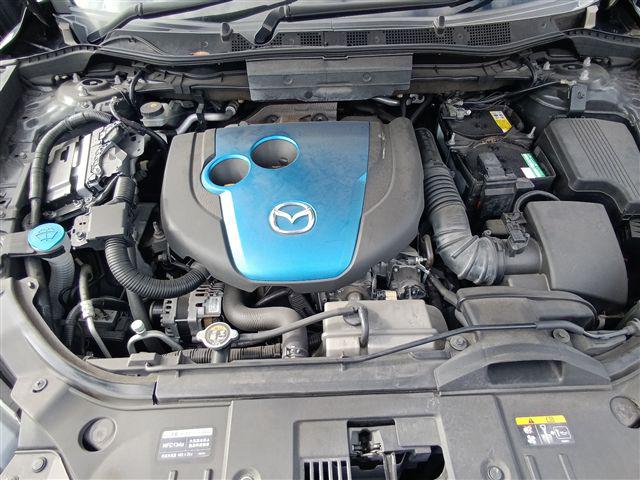 08.jpg