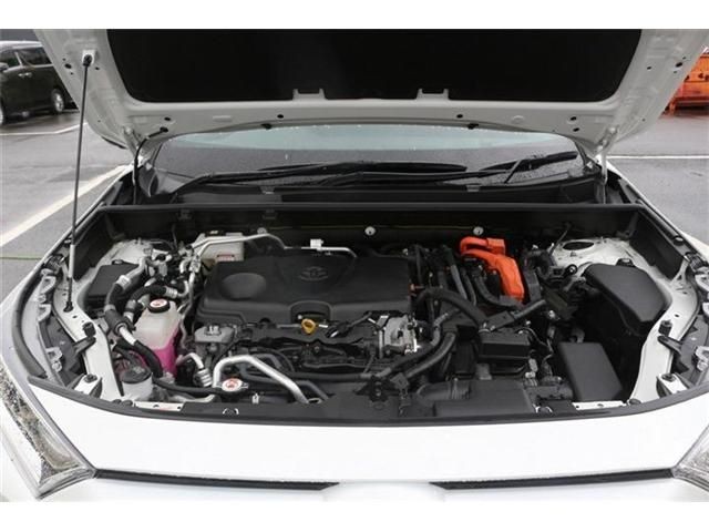 71238d7809e169706129c553e1f80b59.jpg