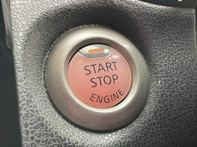 9900224A30260827W00213.jpg