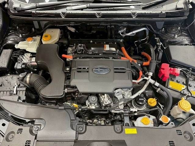 20f755c4997aaaa66417f9e6545e1208.jpg