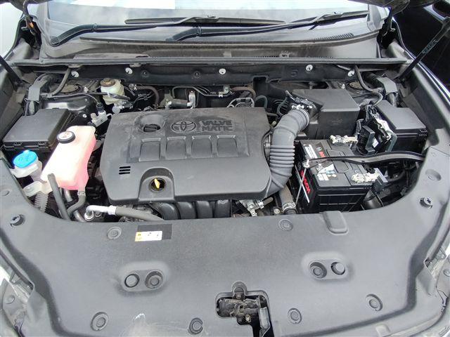 08.jpg