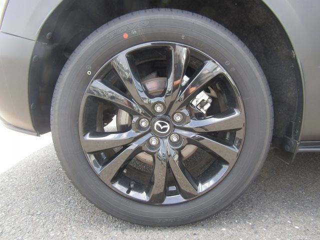 a10203ab406eb44b04da21a5d4062f58.jpg