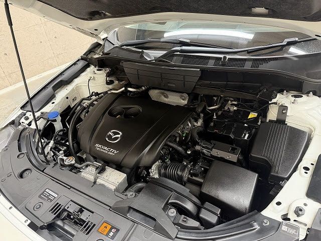 bad3b71de207ef33868cae118fdfc8b6.jpg