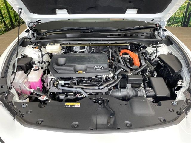 f312743265f6e9b539ec46675ed7bc64.jpg