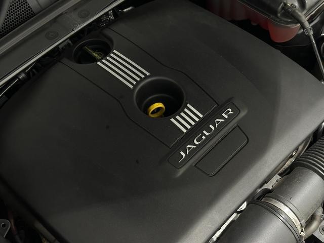 9570013A30260821W00118.jpg