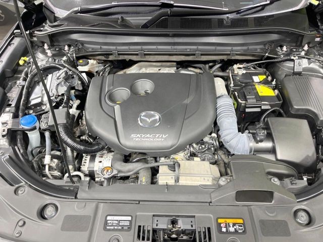 69d33a33135e8947022e8feecbca3b88.jpg
