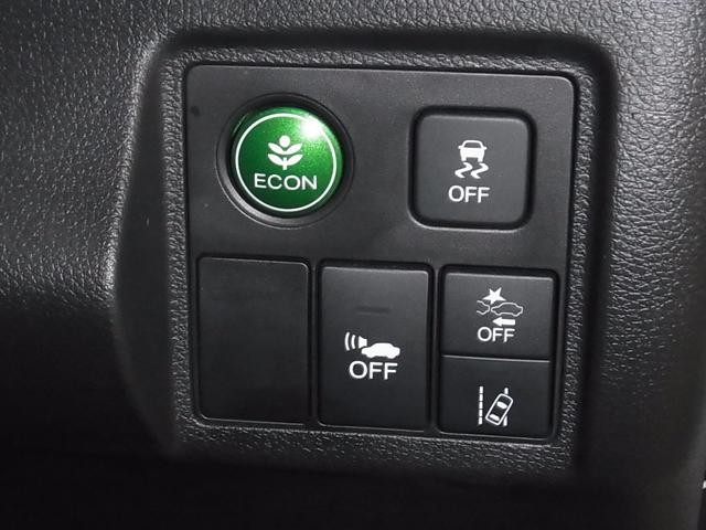 0500075A20261014K00117.jpg
