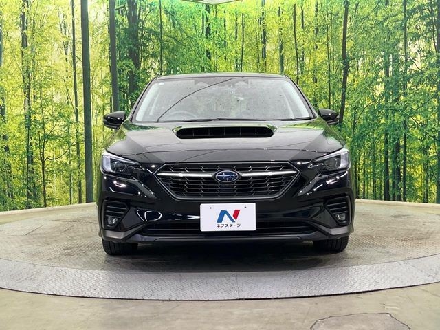 6213aaeba374168b93a2a069a4497508.jpg