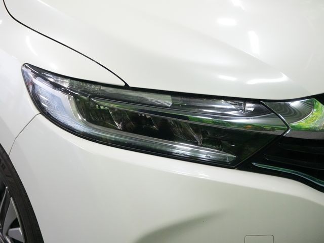 f558f64c5c3adb9c4a6ccc812f65fcd8.jpg