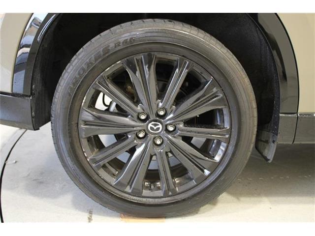 f7d3bb92baad9b7569bed710ce55b515.jpg