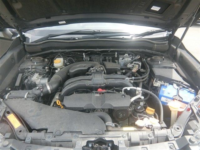 08.jpg
