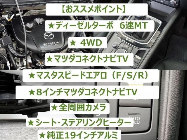 31efc4f25e3936fc460efbde21e531ed.jpg