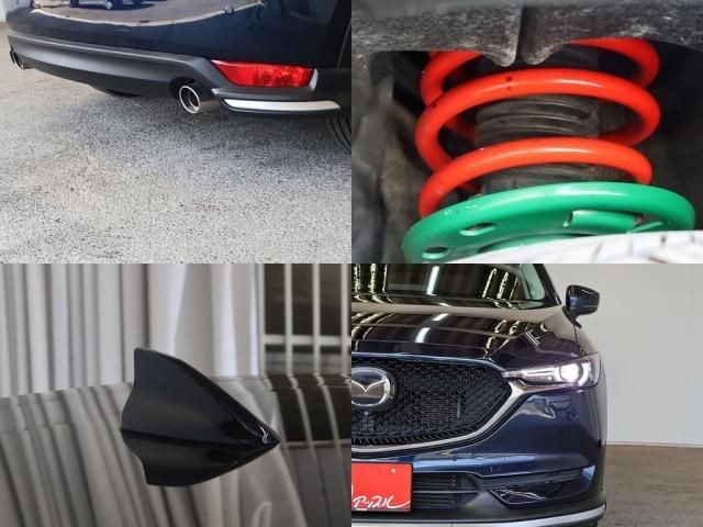 d197c750a57cc362a81c06c6ff640d9a.jpg