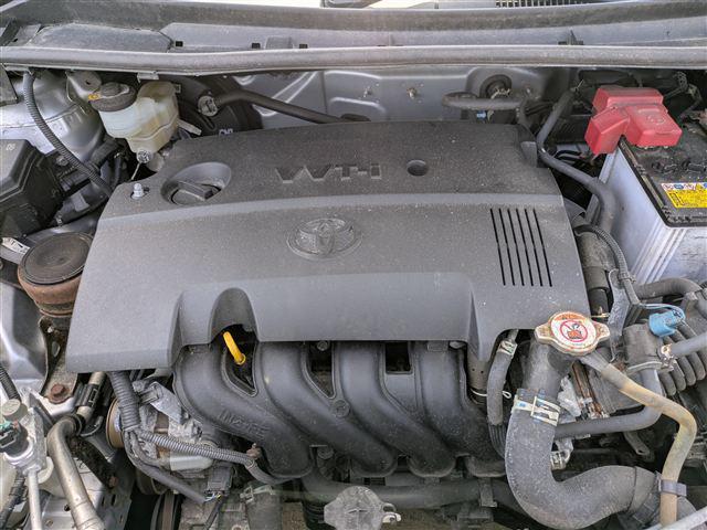 08.jpg