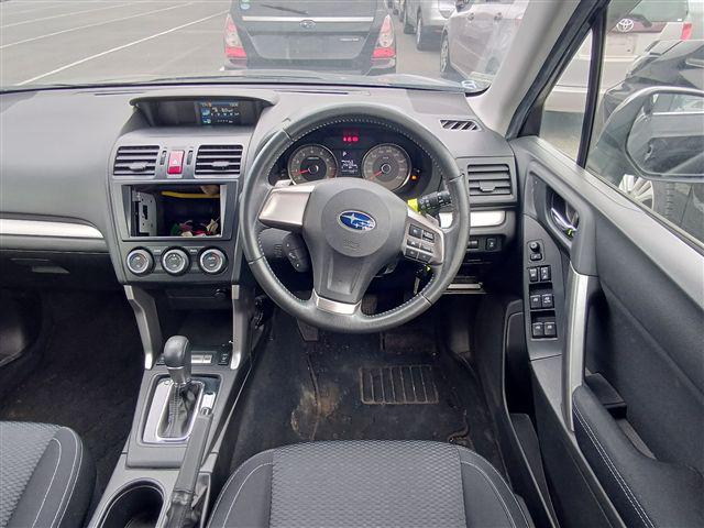 06.jpg