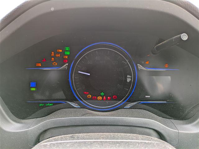 40.jpg