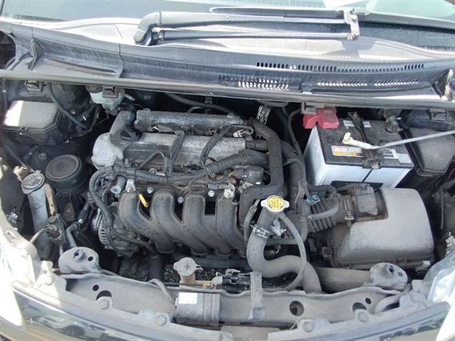 08.jpg