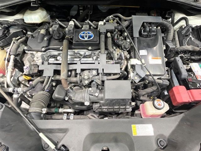 3957e47c56e48b8a3c9923ffa6ce5efa.jpg