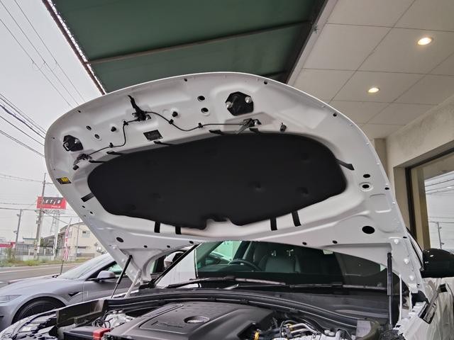 0700840A30260926W00219.jpg