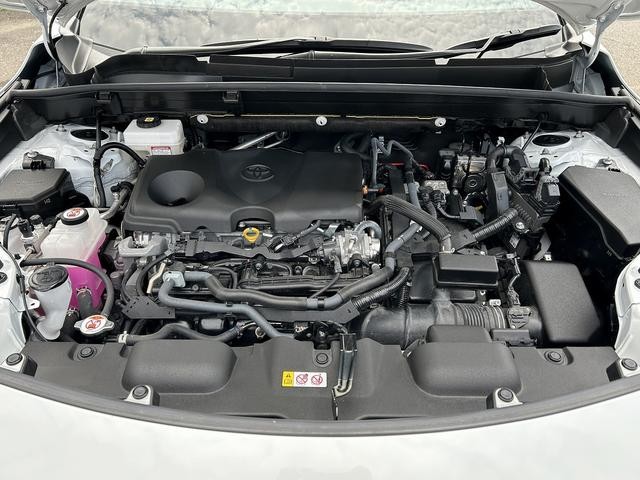 9700258A30260725W00113.jpg