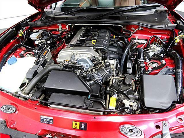 17006432_carP_l_18.jpg