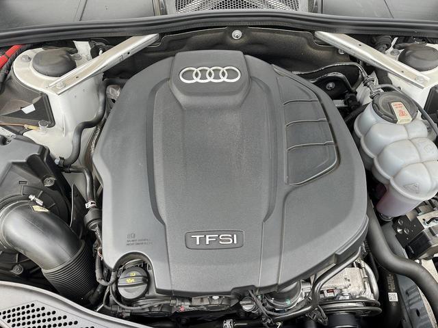 22890982_carP_l_12.jpg